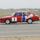 Illustration for article titled The 24 Hours Of LeMons Texas Gator-O-Rama Über Gallery: The Europeans